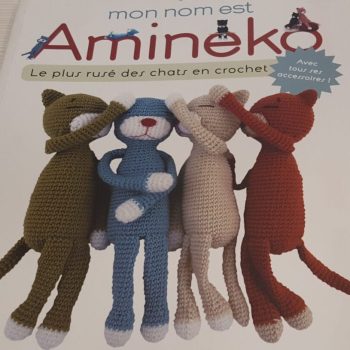 Libro amineko